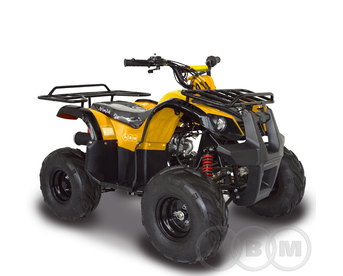 Квадроцикл ABM Ninja 110