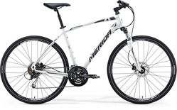 Crossway 100