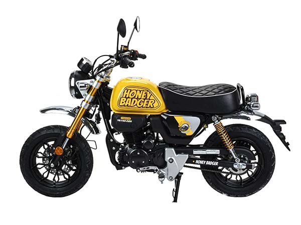 Питбайк MotoLand Monkey 150