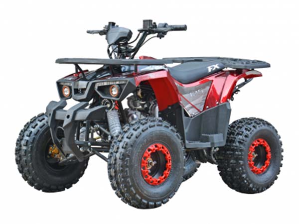 Квадроцикл ATV MM DESTROYER 125сс