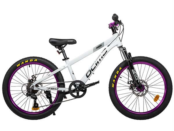 Велосипед 22 OCIMA 750