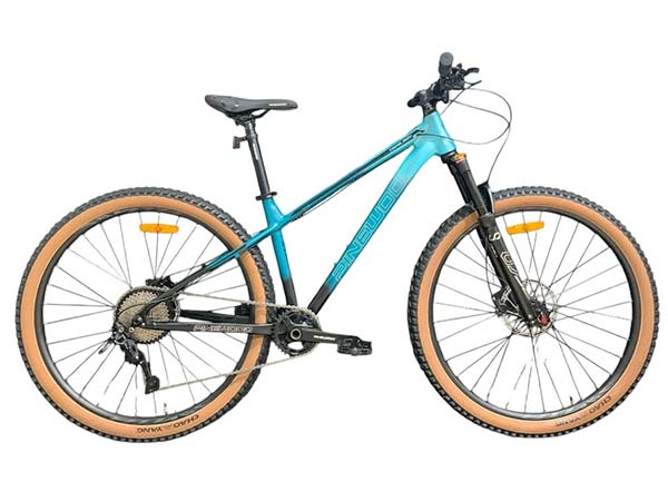 Велосипед 29 Pinewood Trail Boy D Al Air Fork Dior
