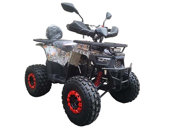 Квадроцикл Wels AX 125 PRO