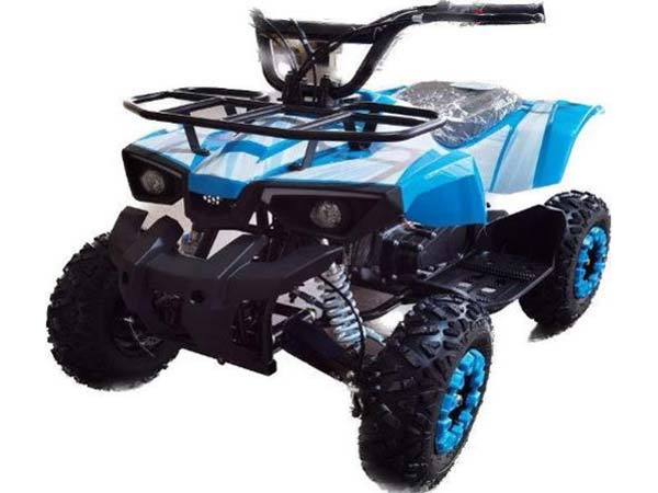 Квадроцикл Wels Thunder Mini 2T