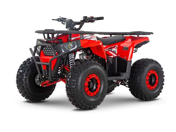 Квадроцикл Wels Thunder Trail 125